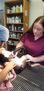 prepping for surgery 